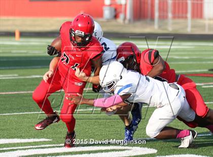 Thumbnail 3 in Midlothian @ Cedar Hill photogallery.