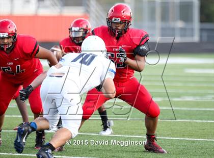 Thumbnail 3 in Midlothian @ Cedar Hill photogallery.