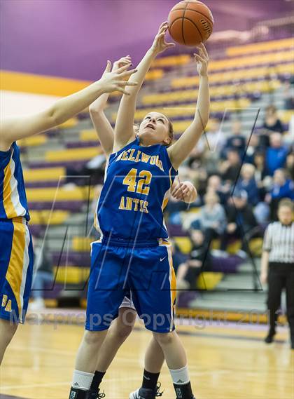 Thumbnail 2 in Burrell vs. Bellwood-Antis (PIAA Class AA Playoffs) photogallery.
