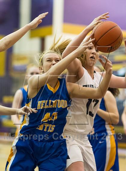 Thumbnail 3 in Burrell vs. Bellwood-Antis (PIAA Class AA Playoffs) photogallery.