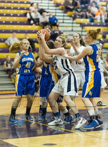 Thumbnail 1 in Burrell vs. Bellwood-Antis (PIAA Class AA Playoffs) photogallery.