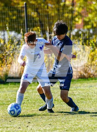 null - Photo 41