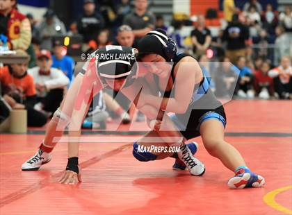 Thumbnail 3 in CIF SS Girls Wrestling Championships (Finals) photogallery.