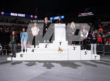 Thumbnail 3 in CIF State Wrestling Girls Championships (Podium Awards) photogallery.