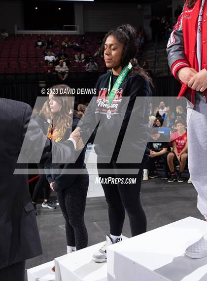 Thumbnail 1 in CIF State Wrestling Girls Championships (Podium Awards) photogallery.