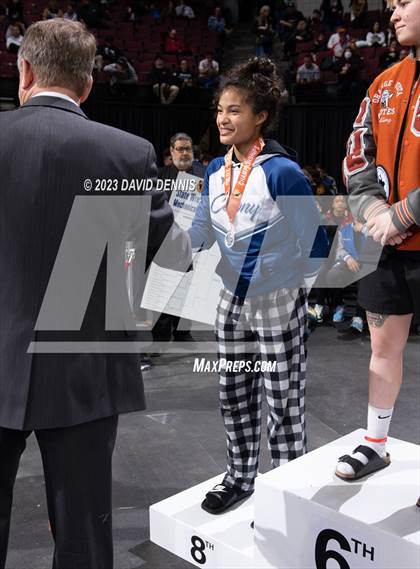 Thumbnail 2 in CIF State Wrestling Girls Championships (Podium Awards) photogallery.