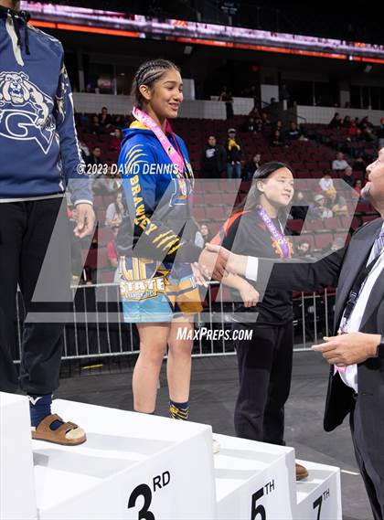Thumbnail 1 in CIF State Wrestling Girls Championships (Podium Awards) photogallery.