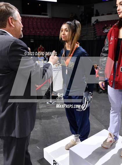 Thumbnail 2 in CIF State Wrestling Girls Championships (Podium Awards) photogallery.