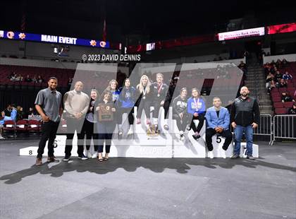 Thumbnail 3 in CIF State Wrestling Girls Championships (Podium Awards) photogallery.