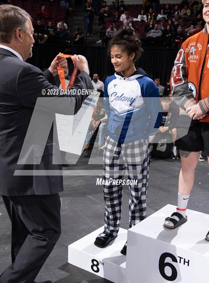 Thumbnail 1 in CIF State Wrestling Girls Championships (Podium Awards) photogallery.