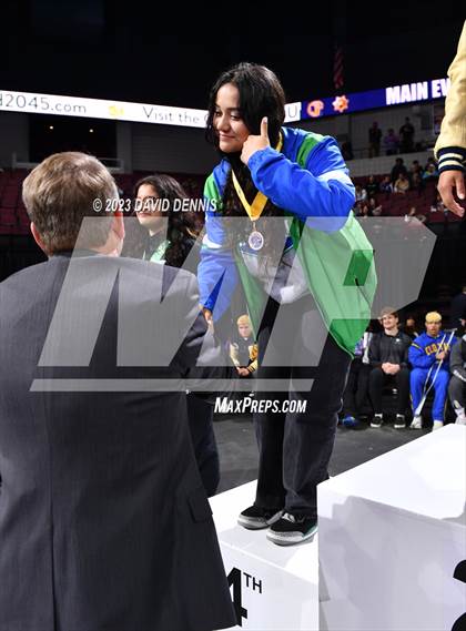 Thumbnail 2 in CIF State Wrestling Girls Championships (Podium Awards) photogallery.