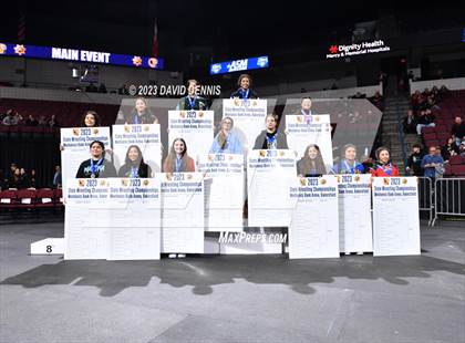 Thumbnail 2 in CIF State Wrestling Girls Championships (Podium Awards) photogallery.