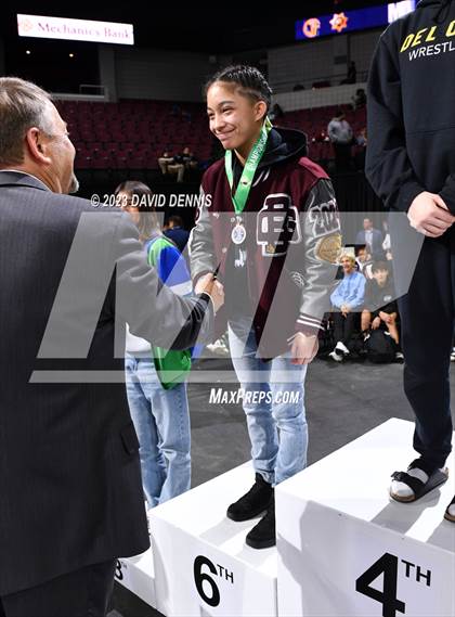 Thumbnail 3 in CIF State Wrestling Girls Championships (Podium Awards) photogallery.