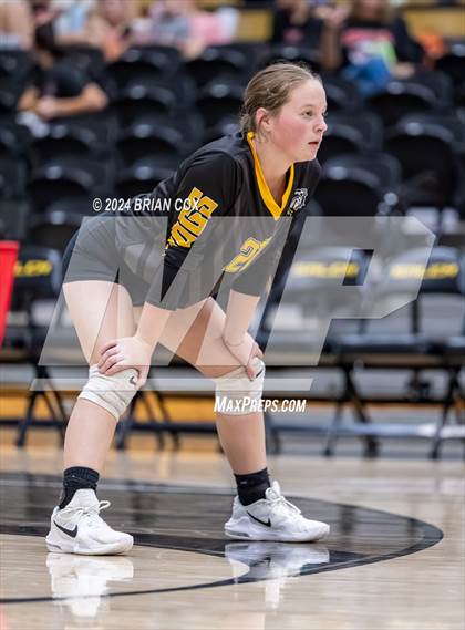 Thumbnail 3 in Salem vs Quitman (Salem Volleyball Tournament) photogallery.