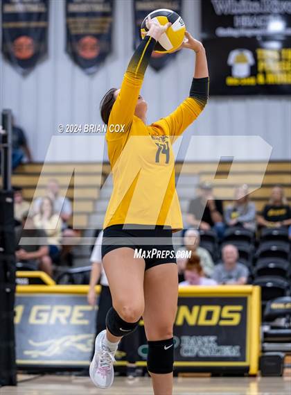Thumbnail 1 in Salem vs Quitman (Salem Volleyball Tournament) photogallery.