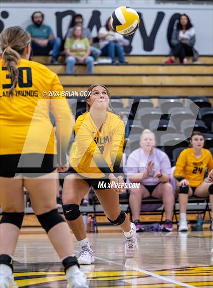 Thumbnail 2 in Salem vs Quitman (Salem Volleyball Tournament) photogallery.