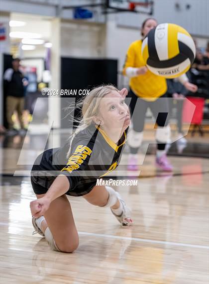 Thumbnail 2 in Salem vs Quitman (Salem Volleyball Tournament) photogallery.