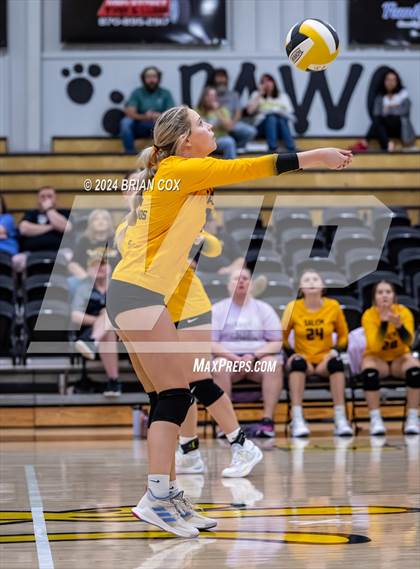Thumbnail 2 in Salem vs Quitman (Salem Volleyball Tournament) photogallery.