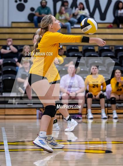 Thumbnail 3 in Salem vs Quitman (Salem Volleyball Tournament) photogallery.
