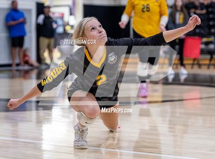 Thumbnail 1 in Salem vs Quitman (Salem Volleyball Tournament) photogallery.
