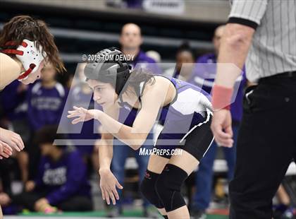 Thumbnail 3 in UIL 6A District 9 Championships photogallery.