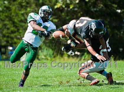 Thumbnail 1 in Mansfield @ Stoughton photogallery.
