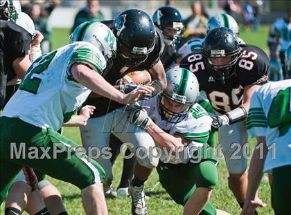 Thumbnail 3 in Mansfield @ Stoughton photogallery.