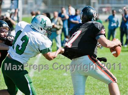 Thumbnail 1 in Mansfield @ Stoughton photogallery.