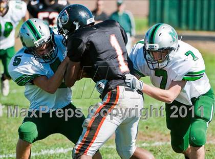 Thumbnail 2 in Mansfield @ Stoughton photogallery.