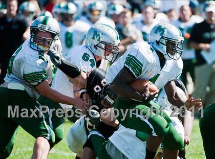Thumbnail 3 in Mansfield @ Stoughton photogallery.