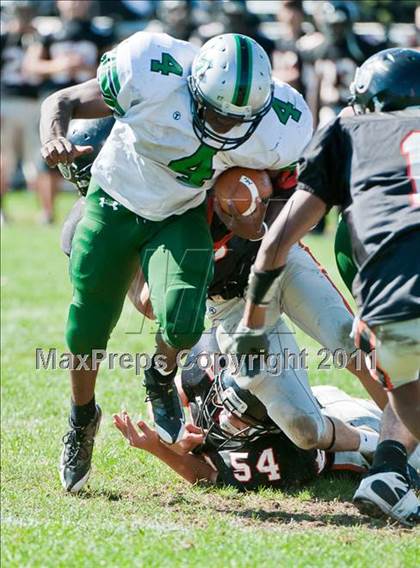 Thumbnail 3 in Mansfield @ Stoughton photogallery.