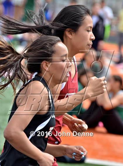 Thumbnail 2 in Taos Tiger Relays photogallery.