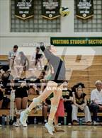 Photo from the gallery "Ventura @ Santa Barbara"