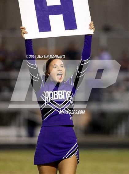 Thumbnail 2 in Riverview @ Lonoke photogallery.