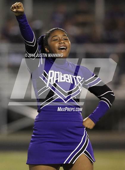 Thumbnail 3 in Riverview @ Lonoke photogallery.