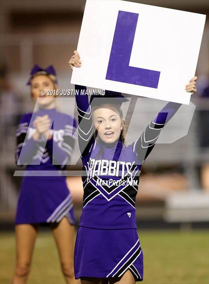 Thumbnail 1 in Riverview @ Lonoke photogallery.