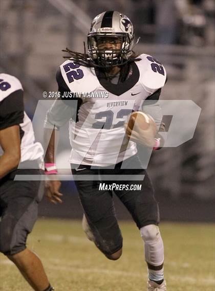 Thumbnail 2 in Riverview @ Lonoke photogallery.