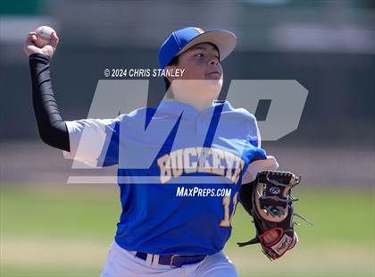 Thumbnail 2 in Buckeye @ Youngker photogallery.