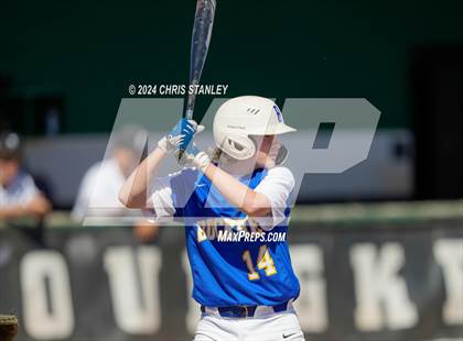 Thumbnail 1 in Buckeye @ Youngker photogallery.