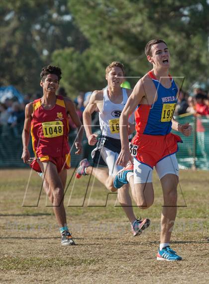 Thumbnail 1 in CIF State Cross Country Championships (Boys D2) photogallery.