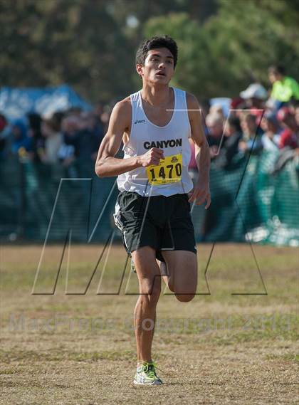 Thumbnail 2 in CIF State Cross Country Championships (Boys D2) photogallery.