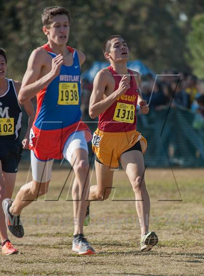 Thumbnail 2 in CIF State Cross Country Championships (Boys D2) photogallery.