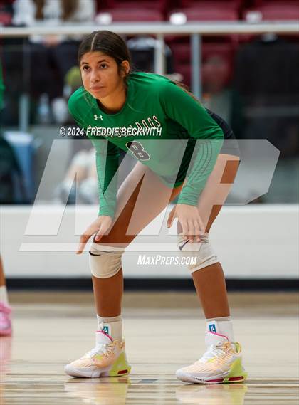 Thumbnail 1 in Tioga vs. Sherman (Hwy 75 Volleyfest) photogallery.