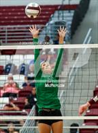 Photo from the gallery "Tioga vs. Sherman (Hwy 75 Volleyfest)"