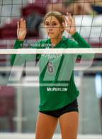 Photo from the gallery "Tioga vs. Sherman (Hwy 75 Volleyfest)"