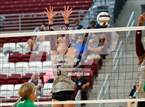 Photo from the gallery "Tioga vs. Sherman (Hwy 75 Volleyfest)"