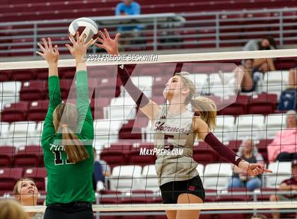 Thumbnail 1 in Tioga vs. Sherman (Hwy 75 Volleyfest) photogallery.