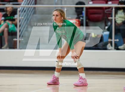 Thumbnail 1 in Tioga vs. Sherman (Hwy 75 Volleyfest) photogallery.