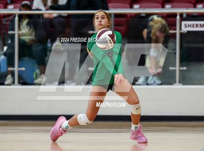 Thumbnail 1 in Tioga vs. Sherman (Hwy 75 Volleyfest) photogallery.