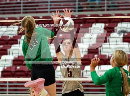 Thumbnail 3 in Tioga vs. Sherman (Hwy 75 Volleyfest) photogallery.